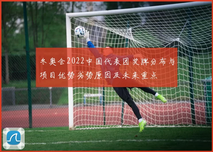 冬奥会2022中国代表团奖牌分布与项目优势劣势原因及未来重点