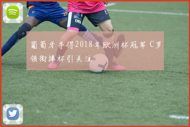 葡萄牙夺得2018年欧洲杯冠军 C罗领衔捧杯引关注