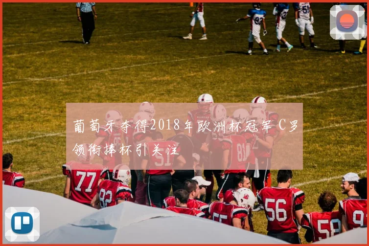葡萄牙夺得2018年欧洲杯冠军 C罗领衔捧杯引关注